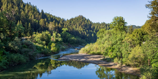 Respect (the) Russian River